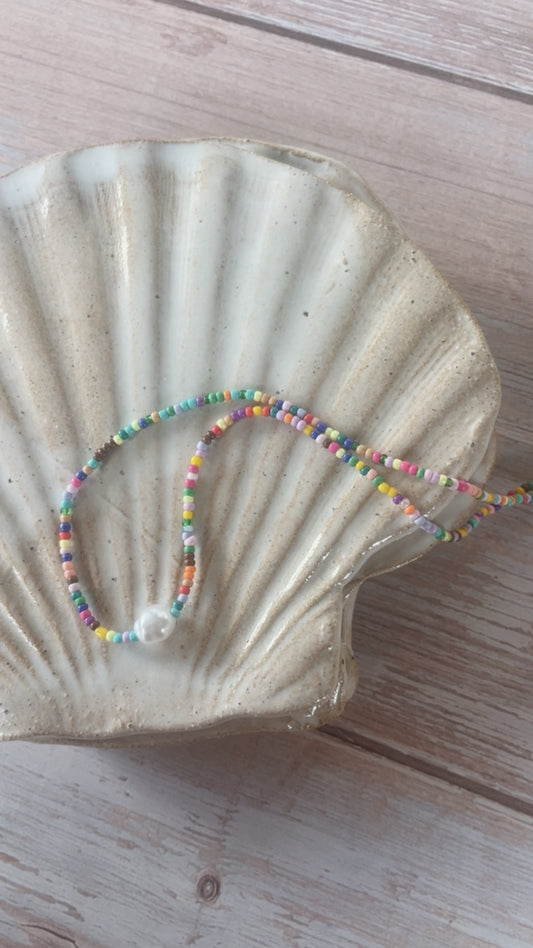 Shell Tray